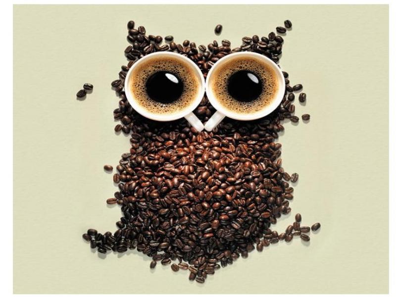 The history and characteristics of Kopi Luwak where does the best Kopi Luwak come from? how much is the price?