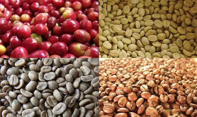 Raw Bean Label: Interpretation of Common Abbreviations in English