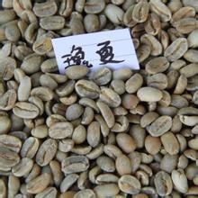 The latest Evaluation and latest News of Rosa Coffee's close processing of Fine Coffee