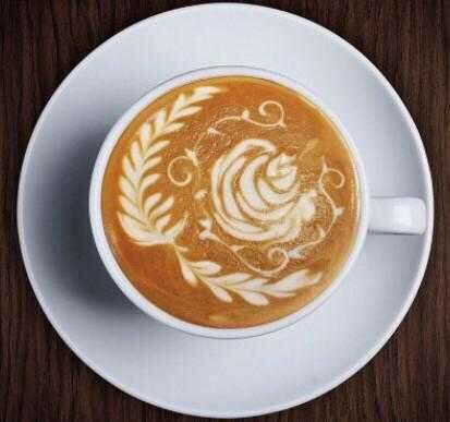 Basic knowledge about all aspects of coffee-baristas must see