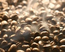 Fine Coffee Cuban Crystal Mountain Coffee Latest Introduction Cuban Crystal Mountain Coffee Flavors