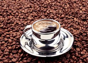 Tanzania boutique coffee: the latest coffee flavor of Kilimanjaro coffee