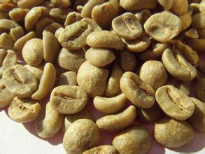 The latest introduction to the storage method of high-quality coffee raw beans