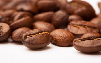 What are the main nutrients and ingredients in coffee beans?