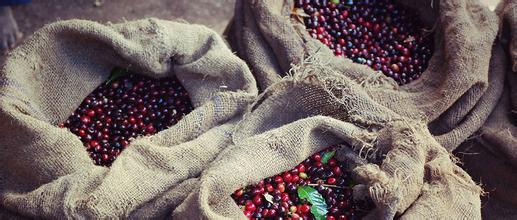 Detailed introduction of Ethiopia-Cochel kochere coffee beans