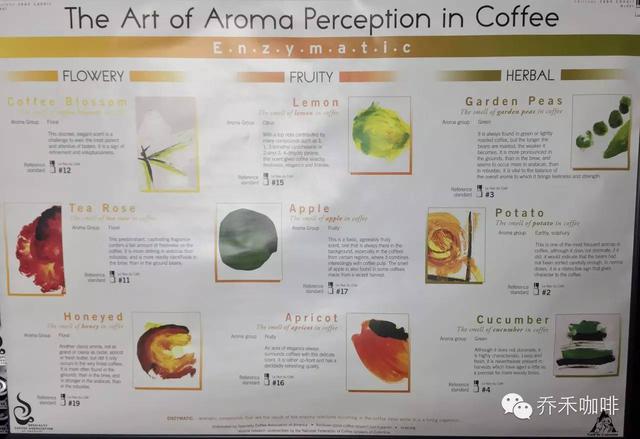 Explain the taste of 36 flavor bottles of coffee and challenge your taste buds.