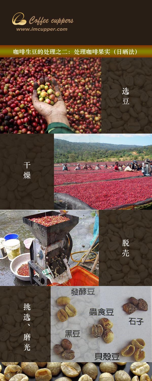 Processing of green coffee beans: processing coffee fruits (solarization method)