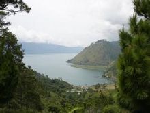 Introduction of world boutique coffee beans: India Mantenin coffee beans