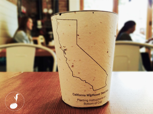The plantable cup turns the used coffee paper cup into a tree.