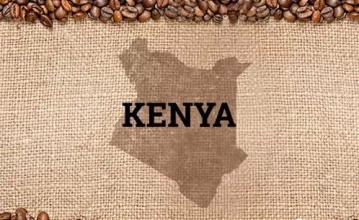 High quality Kenyan Coffee the latest coffee introduces fruit flavor Kenyan coffee