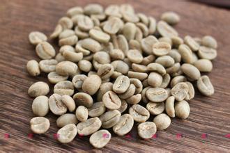 The latest introduction of high-quality coffee and raw beans