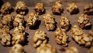 Introduction to the latest Coffee Origin of Fine Coffee, Musk Coffee