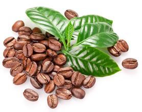 Boutique coffee beans: a detailed explanation of the producing areas and flavor of the world's boutique coffee beans
