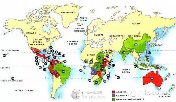 World boutique Coffee beans: the first introduction to Coffee from 53 Coffee producing areas in the World (to be continued)