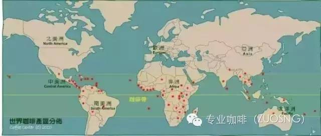 The Historical Progress of Coffee in China: how did Coffee enter China?