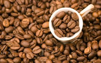Introduction to the latest taste and varieties of Brazilian coffee boutique coffee beans