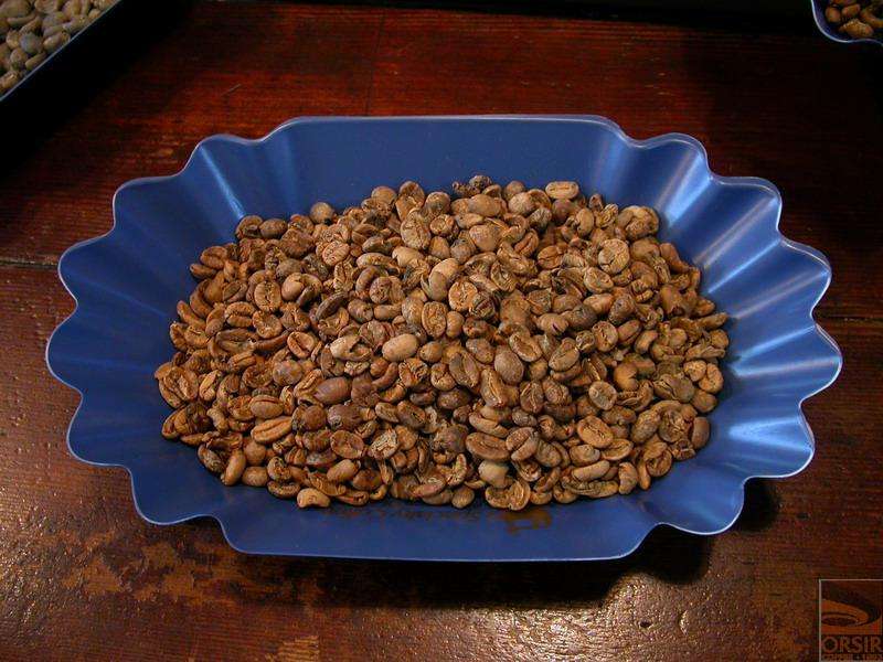 Boutique coffee beans: frog bean Rainforest Alliance certification
