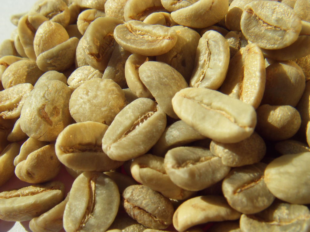World boutique Coffee beans: the faint sweetness of Brazil's Huangbang