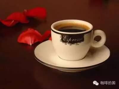 Coffee flavor tasting: where does the 