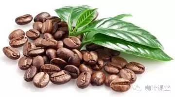 A detailed introduction of coffee beans from the three largest producing areas in the world: Africa, America and Asia
