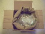 Packaging of raw coffee beans: an analysis of the secret of raw bean labels: what is meant by 