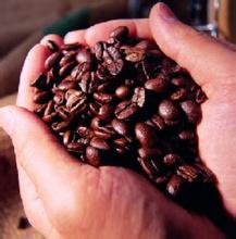 The latest introduction of boutique coffee beans Costa Rican coffee