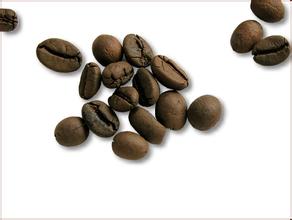 The latest introduction of Java coffee boutique coffee beans