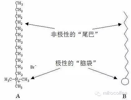 A course in making Italian Coffee: a detailed explanation of the principles of hydrodynamics in Coffee pattern