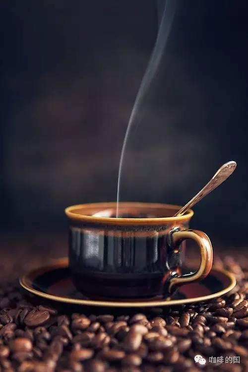 What!? Coffee grounds can be used to produce biodiesel? Waste utilization