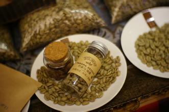 The latest introduction of boutique coffee raw bean Rosa coffee