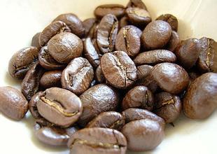 Civet Coffee Kopi Luwak Indonesian Coconut Cat unique acidity and taste
