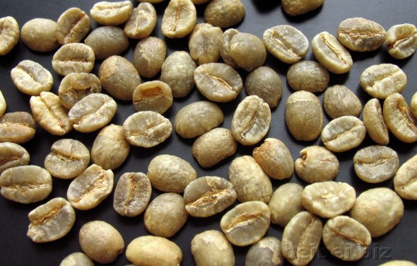 Introduction of world boutique coffee beans: Kenya coffee raw bean Kenya AA green bean