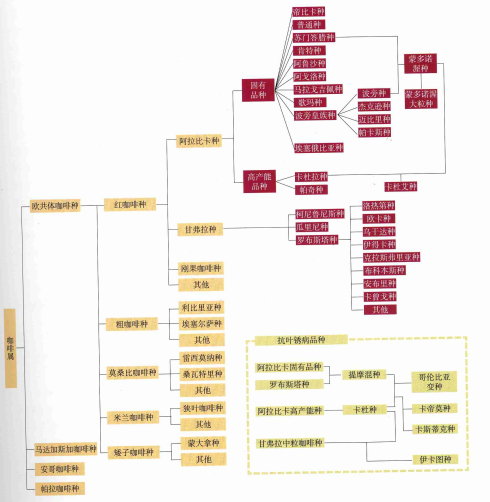 Key points of coffee raw bean knowledge: the concept of high-quality coffee Specialty Coffee (2)