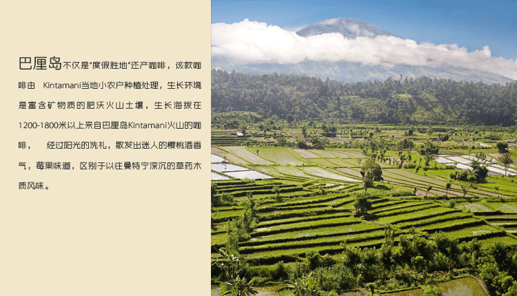 Boutique Coffee Manor introduction: Bali Garden Bean boutique Rob Bean detailed introduction