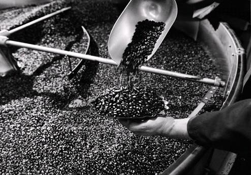 Coffee Roasting Knowledge Points: Coffee Roasting Detailed Analysis