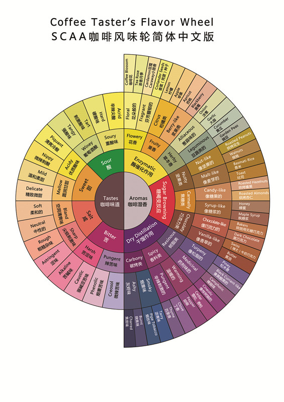 Coffee knowledge points: coffee roasting talking about roasting process, roasting degree and roasting curve