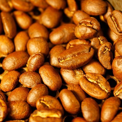 World boutique Coffee Manor beans: a detailed introduction of beans from Sidamo, Ethiopia