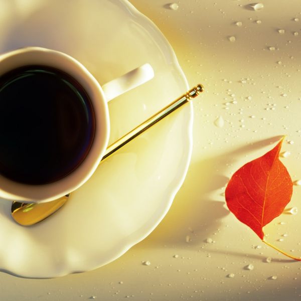 The world's first travel cafe, Beijing Blue Harbor, opening reading is a journey of the soul.