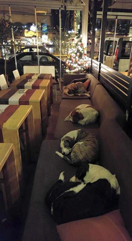 The cafe will deliberately leave the door open after closing, and the scene a few minutes later makes the corners of the eyes wet!