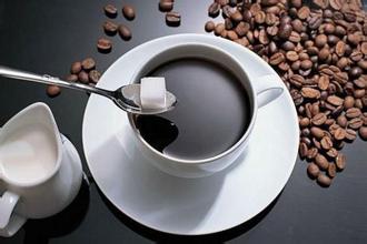 Boutique coffee beans Java coffee the latest coffee introduction and information