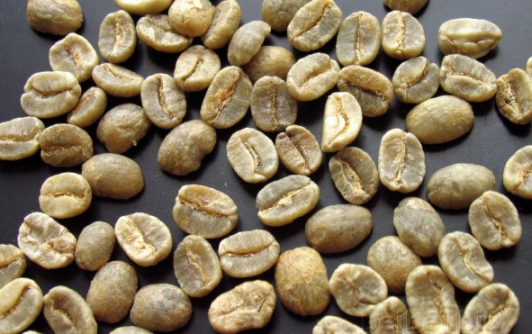 World boutique coffee manor Colombian Coffee beans: Colombian SUPREMO Coffee Raw beans