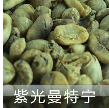Asian Coffee Manor Indonesia region Sulawesi Sulawesia Tonaga Toraja coffee beans
