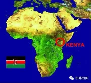 World boutique coffee Kenyan coffee excellent coffee with red wine flavor