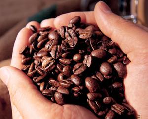 Rich fruity aromas of Yemeni mocha coffee beans with distinctive wine aromas in Euro-Arab region.