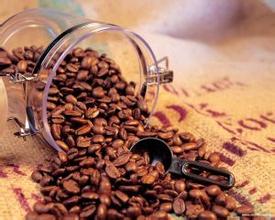 Boutique coffee beans Brazilian coffee the latest coffee information flavor introduction