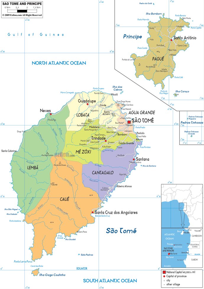 Coffee beans from Sao Tome and Principe in Africa have soft and rich flavor characteristics.