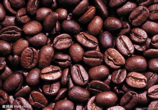 Boutique Coffee beans Kenya Coffee Kenya AA Coffee the latest coffee introduction and information