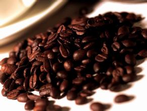 Flavor and taste characteristics and roasting degree of American coffee beans in El Salvador
