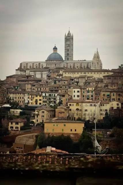 Love and delicacy: the hometown of Tira Misu in Siena is the perfect match for coffee.