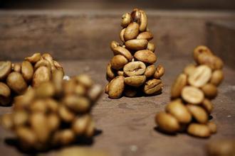 Kopi Luwak civet coffee boutique coffee beans introduce unique flavor mellow taste